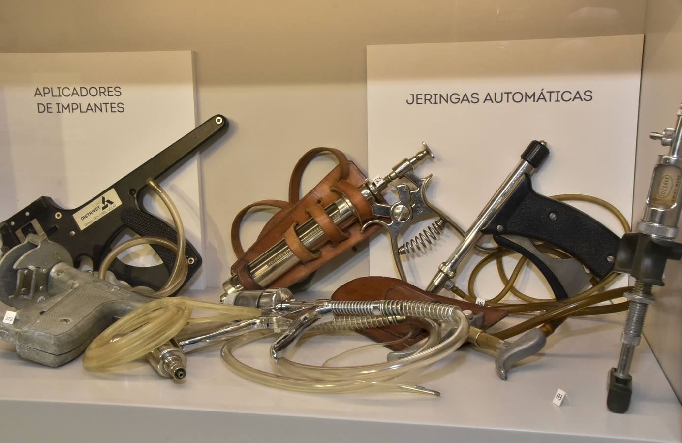 Fotos: El Museo de Veterinarios abrirá los fines de semana a todos los públicos