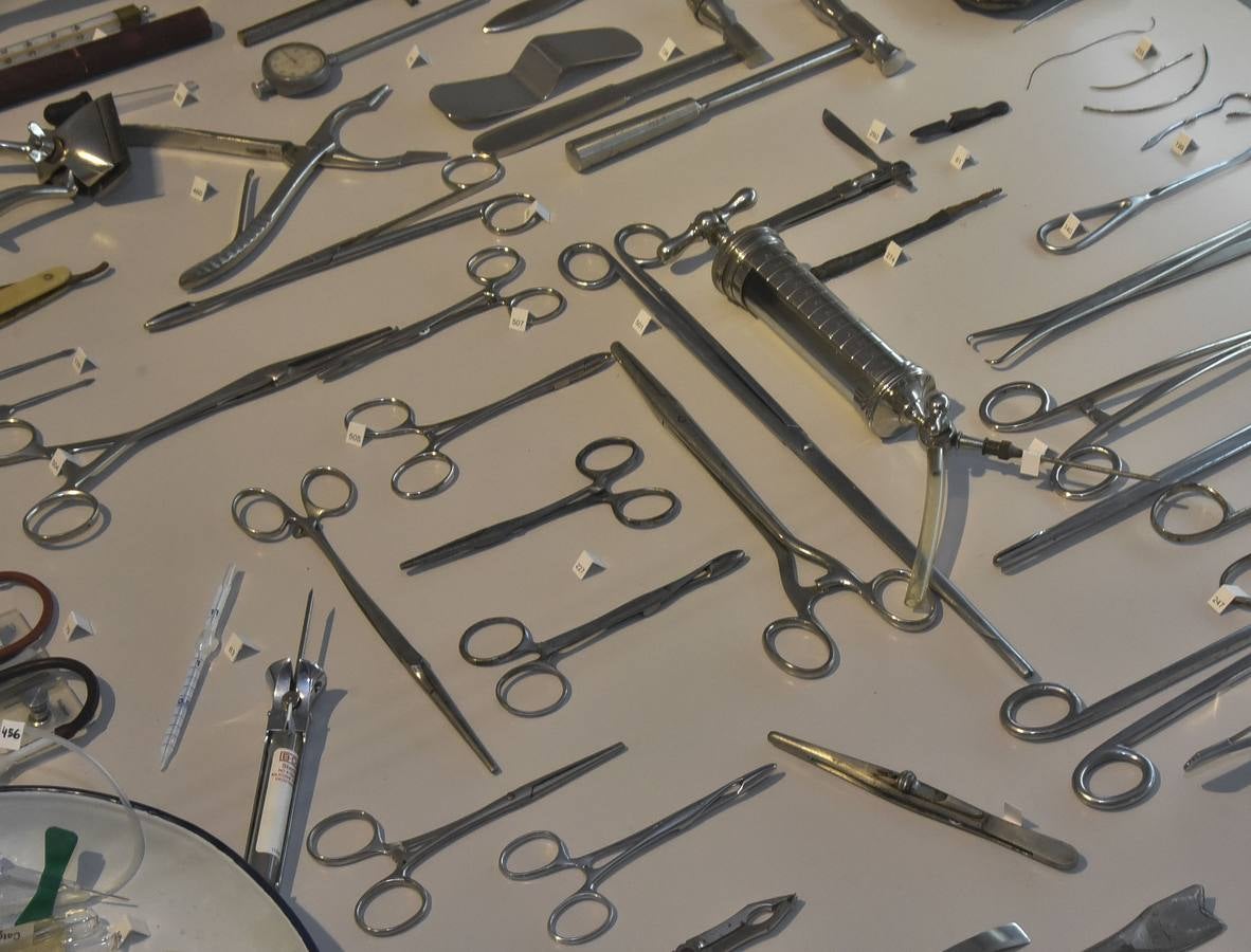 Fotos: El Museo de Veterinarios abrirá los fines de semana a todos los públicos