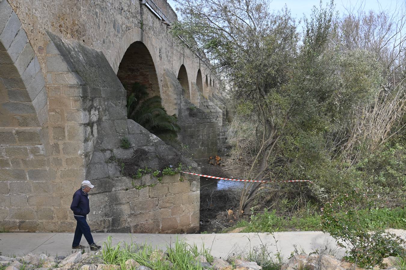 Fotos: La Confederación elimina la vegetación del Puente de Palmas