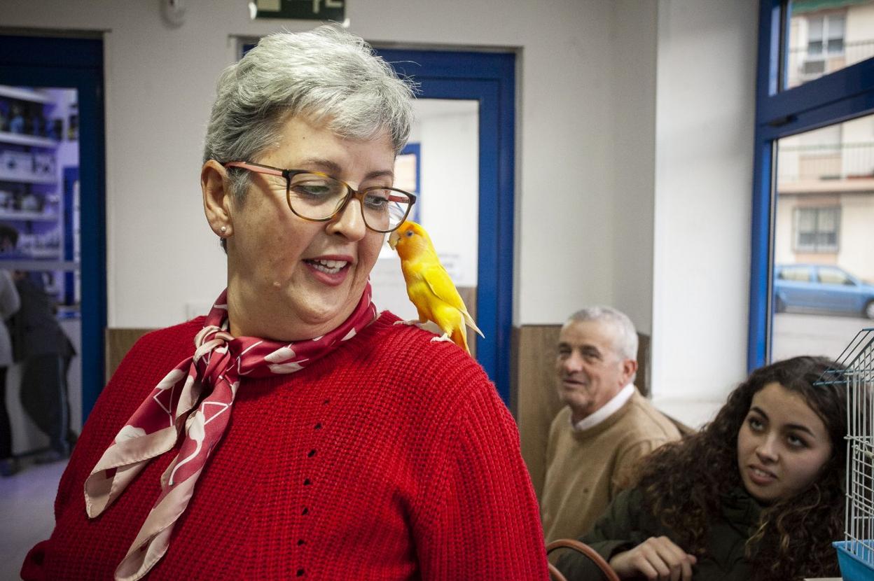 Rosi López es dueña de un agapornis, el pájaro del amor. :: jorge rey