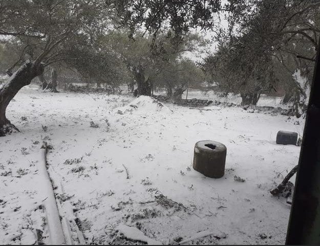 La borrasca Gloria ha dejado bonitas estampas en Las Villuercas