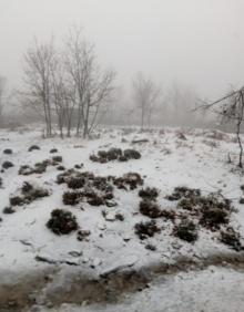 Imagen secundaria 2 - Primera nevada del año en Piornal