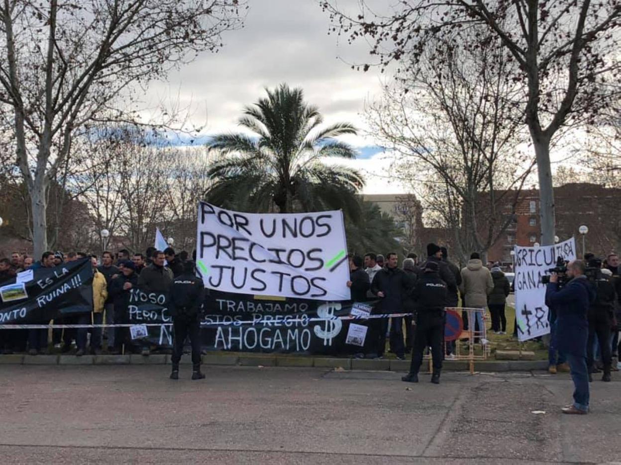 Manifestantes a las puertas de Feval en Agroexpo 2019. :: e. d.