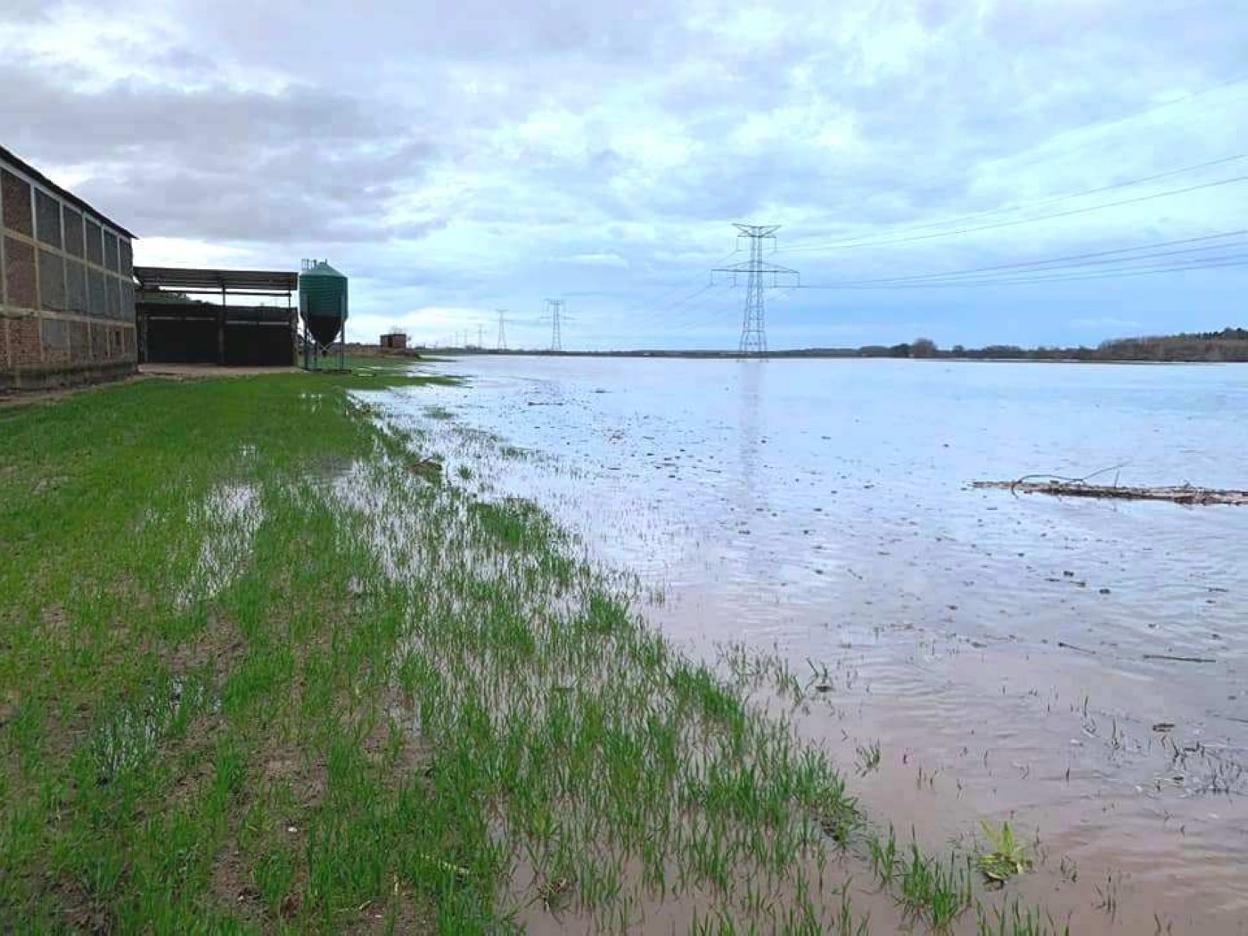 El Ayuntamiento Jaraice o Pide Ayudas Por Los Da os De La Lluvia Y El el-ayuntamiento-jaraice-o-pide-ayudas-por-los-da-os-de-la-lluvia-y-el