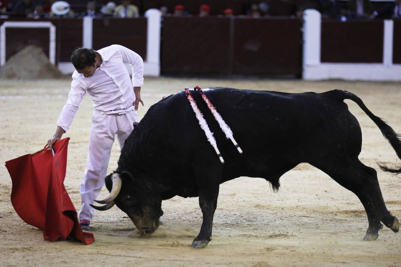 Fotos: Antonio Ferrera corta una oreja y sufre una cogida en Bogotá