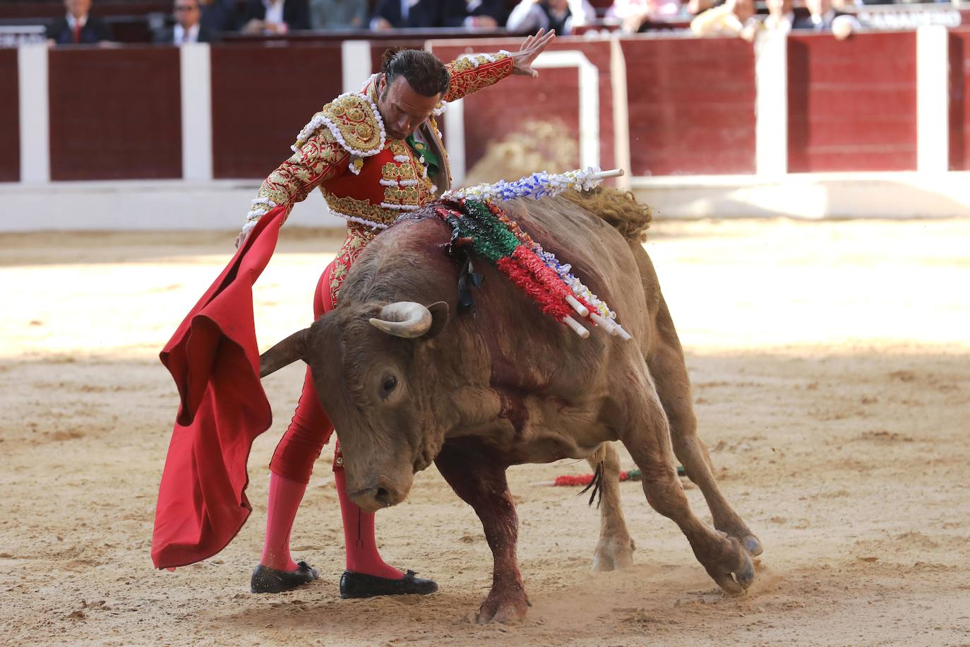 Fotos: Antonio Ferrera corta una oreja y sufre una cogida en Bogotá