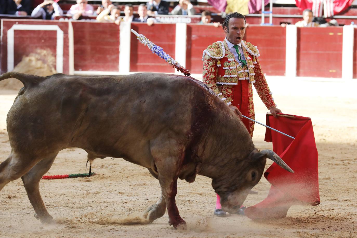 Fotos: Antonio Ferrera corta una oreja y sufre una cogida en Bogotá