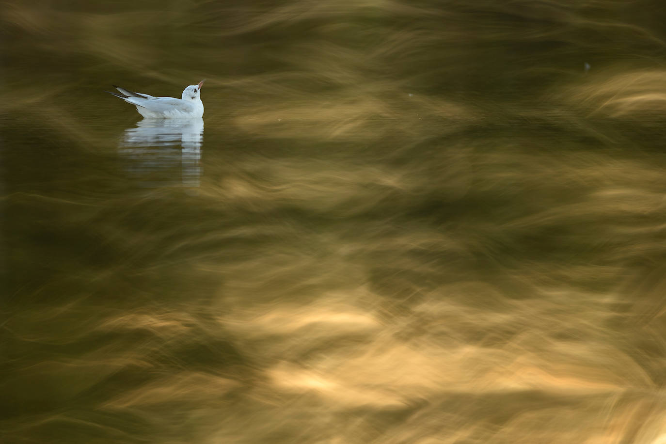 Fotos: El concurso fotográfico de FIO anuncia sus ganadores