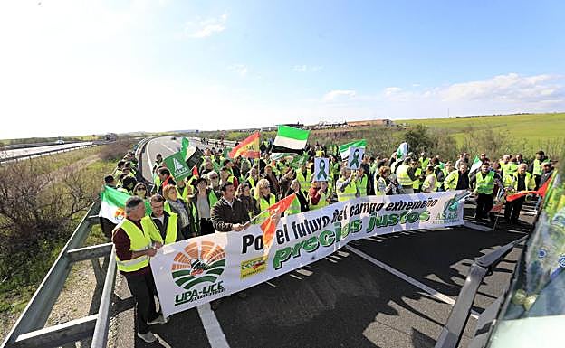 Trabajadores del campo cortando la A-66, en Casar de Cáceres.
