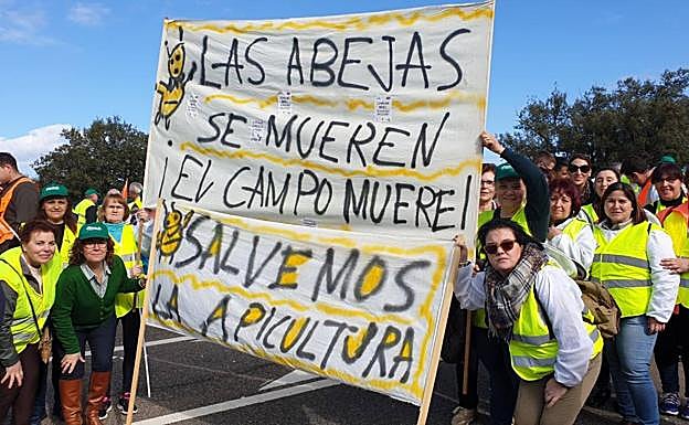 Apicultoras en la N-430, a la altura del Puerto de los Carneros. 