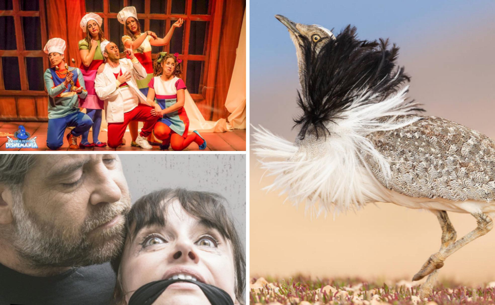 Planes de ocio y agenda del fin de semana del 28 de febrero al 1 de marzo en Extremadura