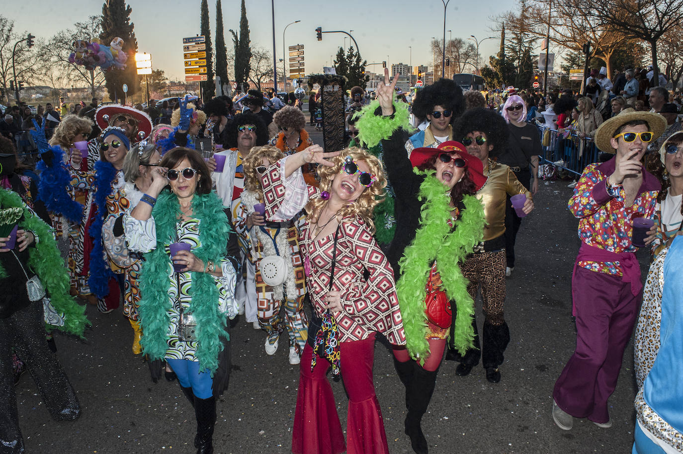 Fotos: Las mejores fotos del desfile de Carnaval de Badajoz (2)