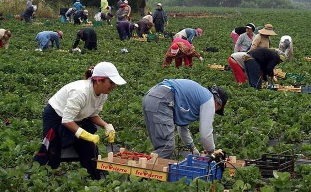 El Gobierno pone fin a la venta a pérdidas y a las promociones engañosas