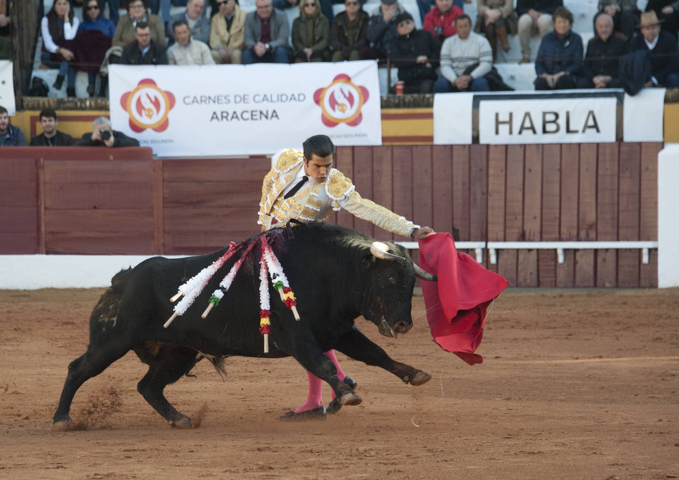 Fotos: Novillada, primera de abono de la Feria de Olivenza