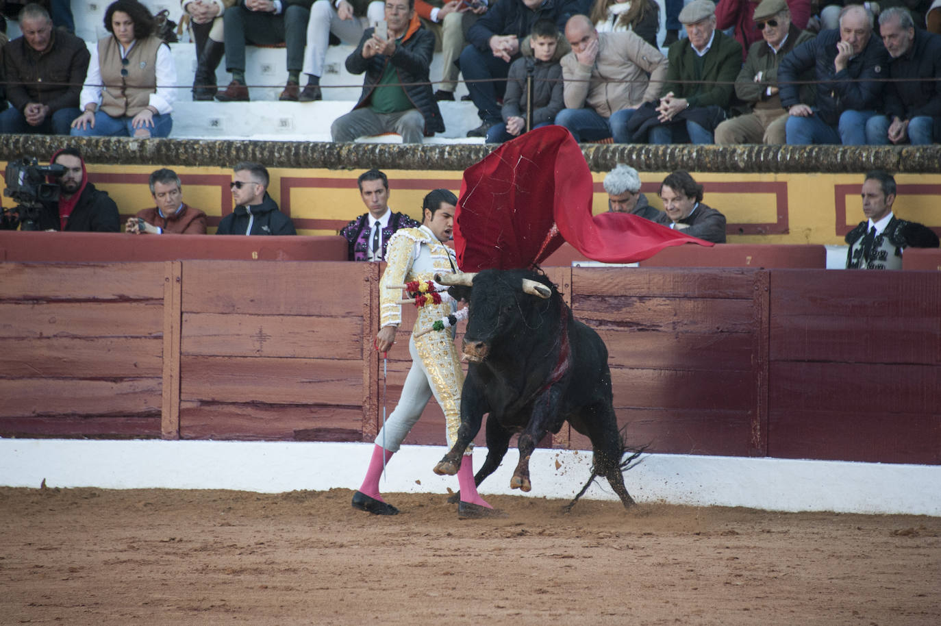 Fotos: Novillada, primera de abono de la Feria de Olivenza