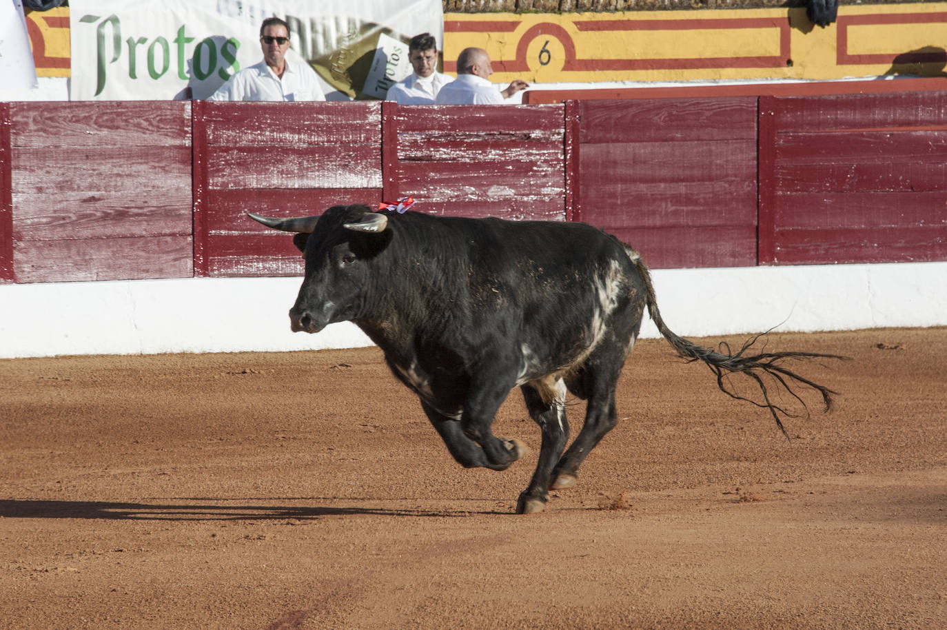 Fotos: Novillada, primera de abono de la Feria de Olivenza