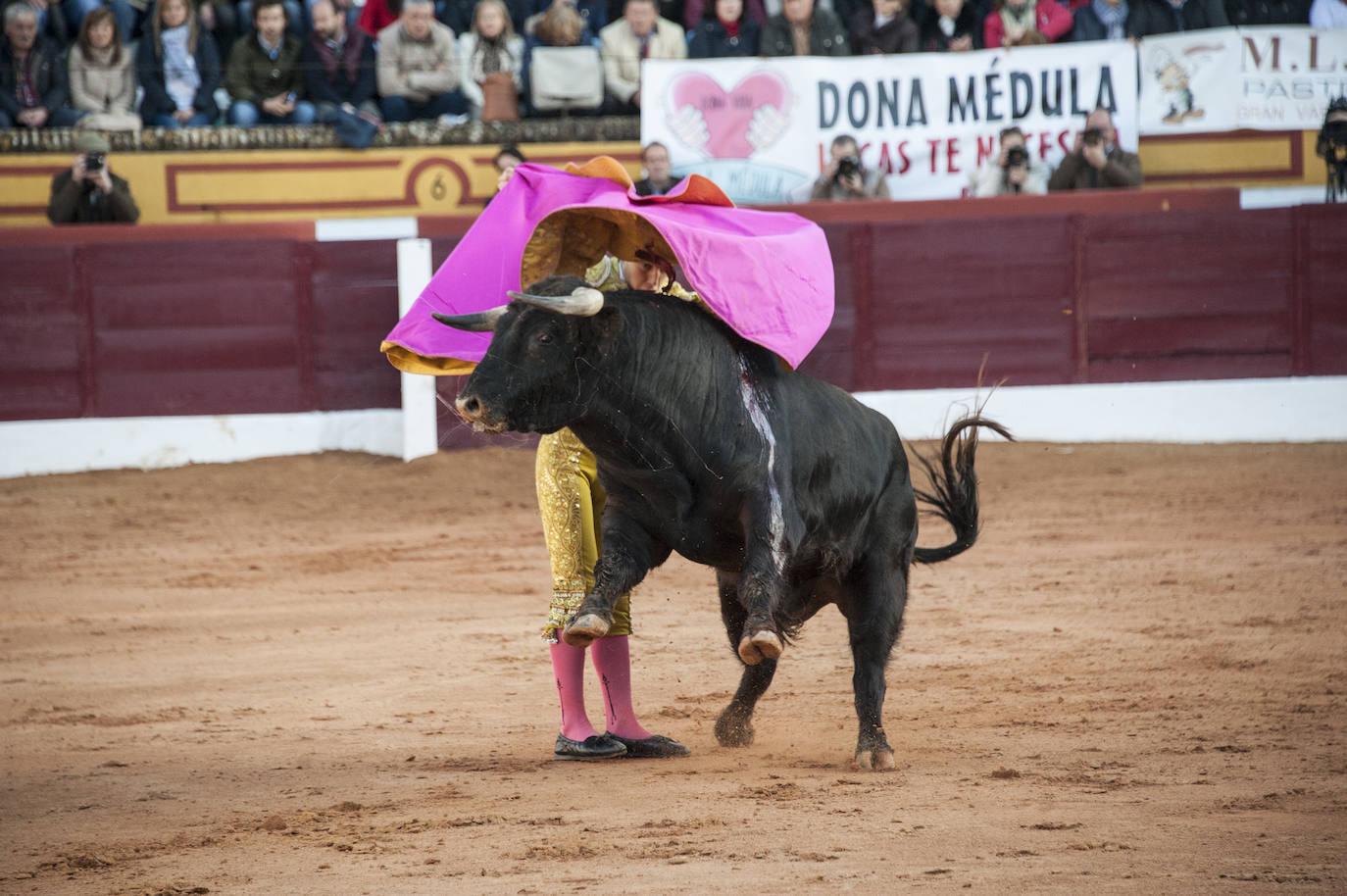 Fotos: Novillada, primera de abono de la Feria de Olivenza