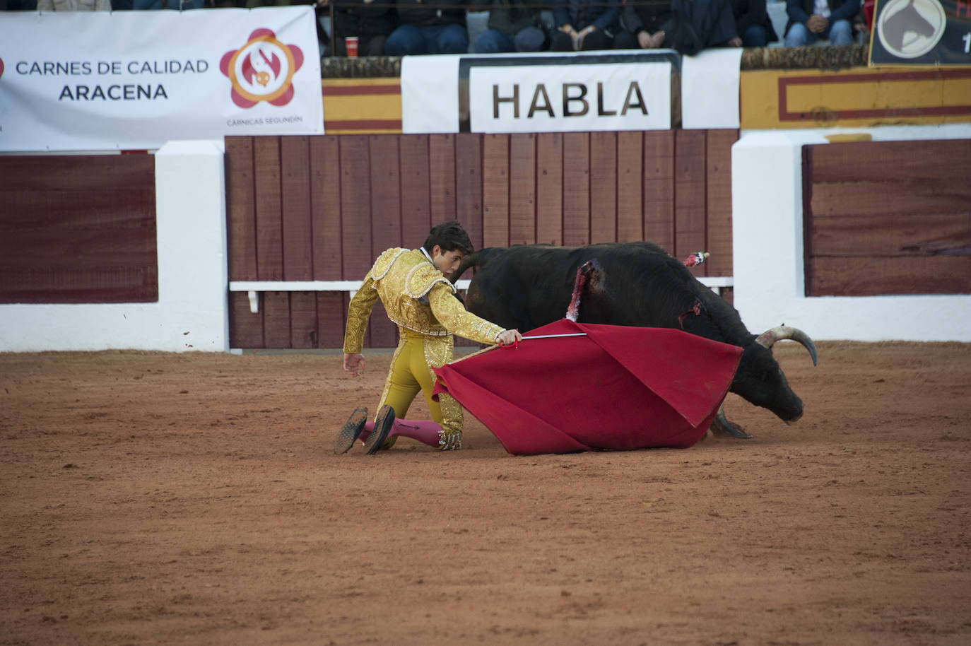 Fotos: Novillada, primera de abono de la Feria de Olivenza