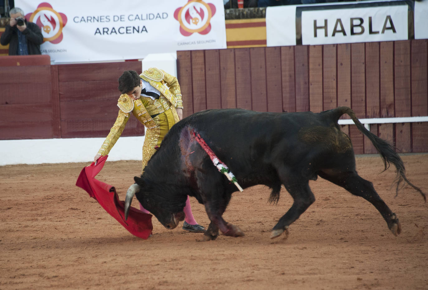 Fotos: Novillada, primera de abono de la Feria de Olivenza