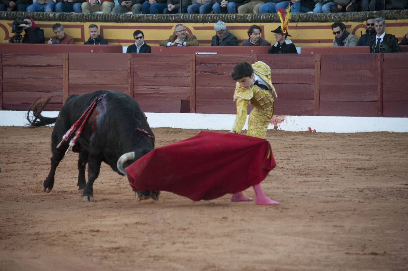 Fotos: Novillada, primera de abono de la Feria de Olivenza