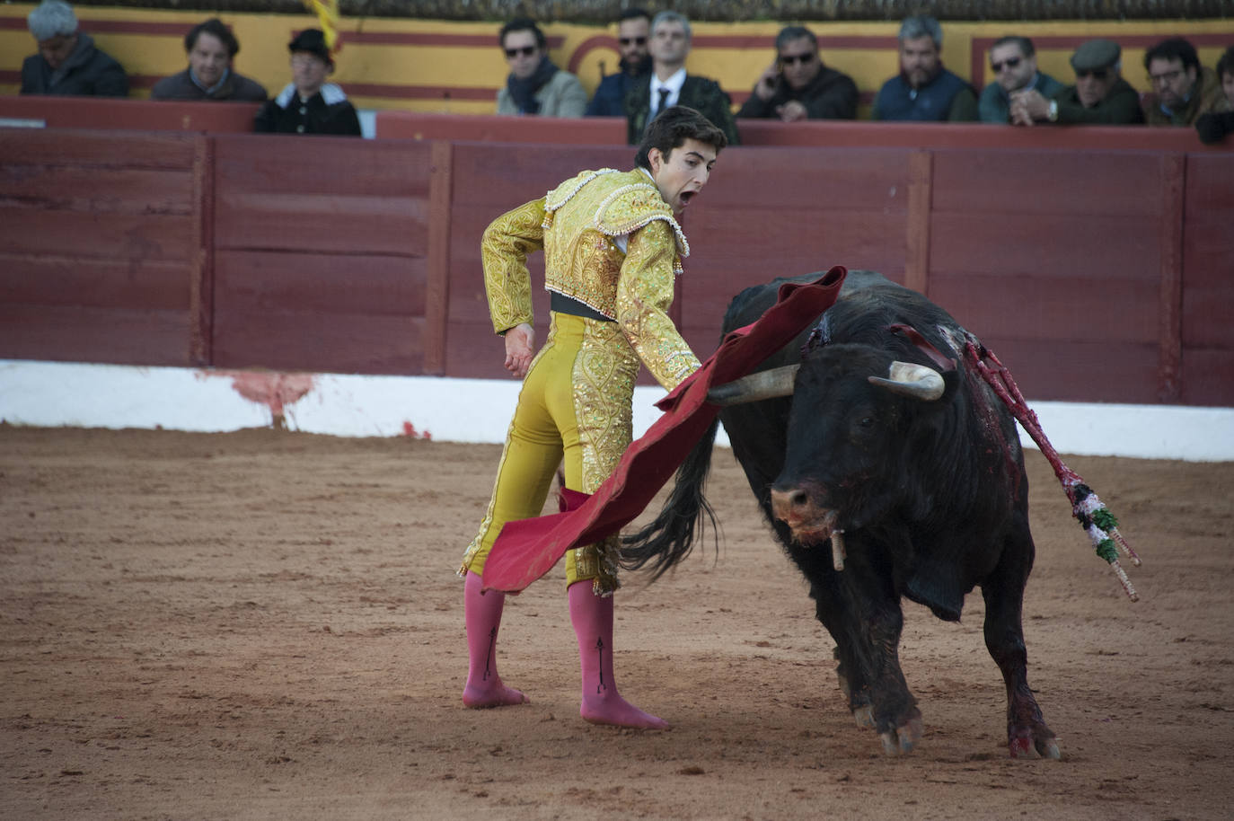 Fotos: Novillada, primera de abono de la Feria de Olivenza