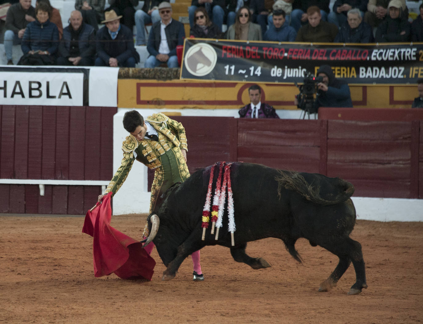 Fotos: Novillada, primera de abono de la Feria de Olivenza