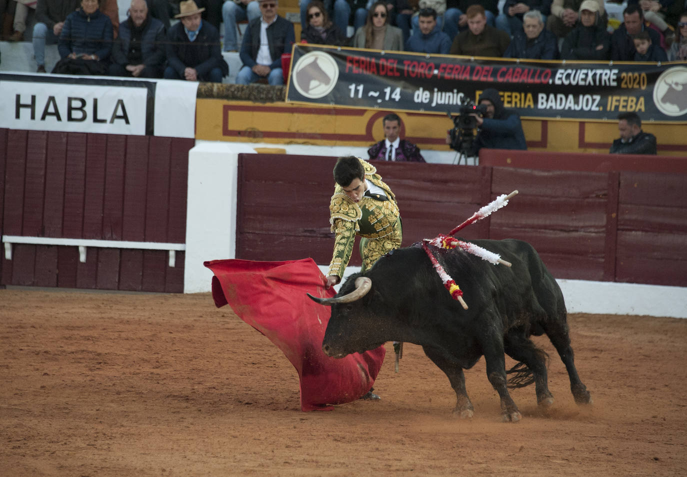 Fotos: Novillada, primera de abono de la Feria de Olivenza