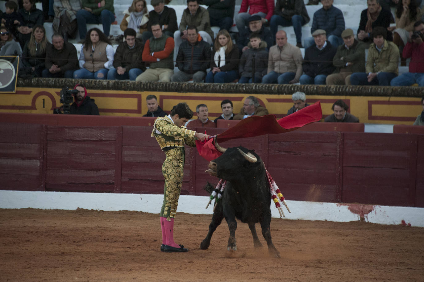 Fotos: Novillada, primera de abono de la Feria de Olivenza