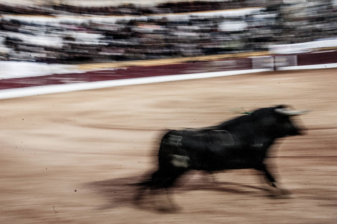 Fotos: Novillada, primera de abono de la Feria de Olivenza