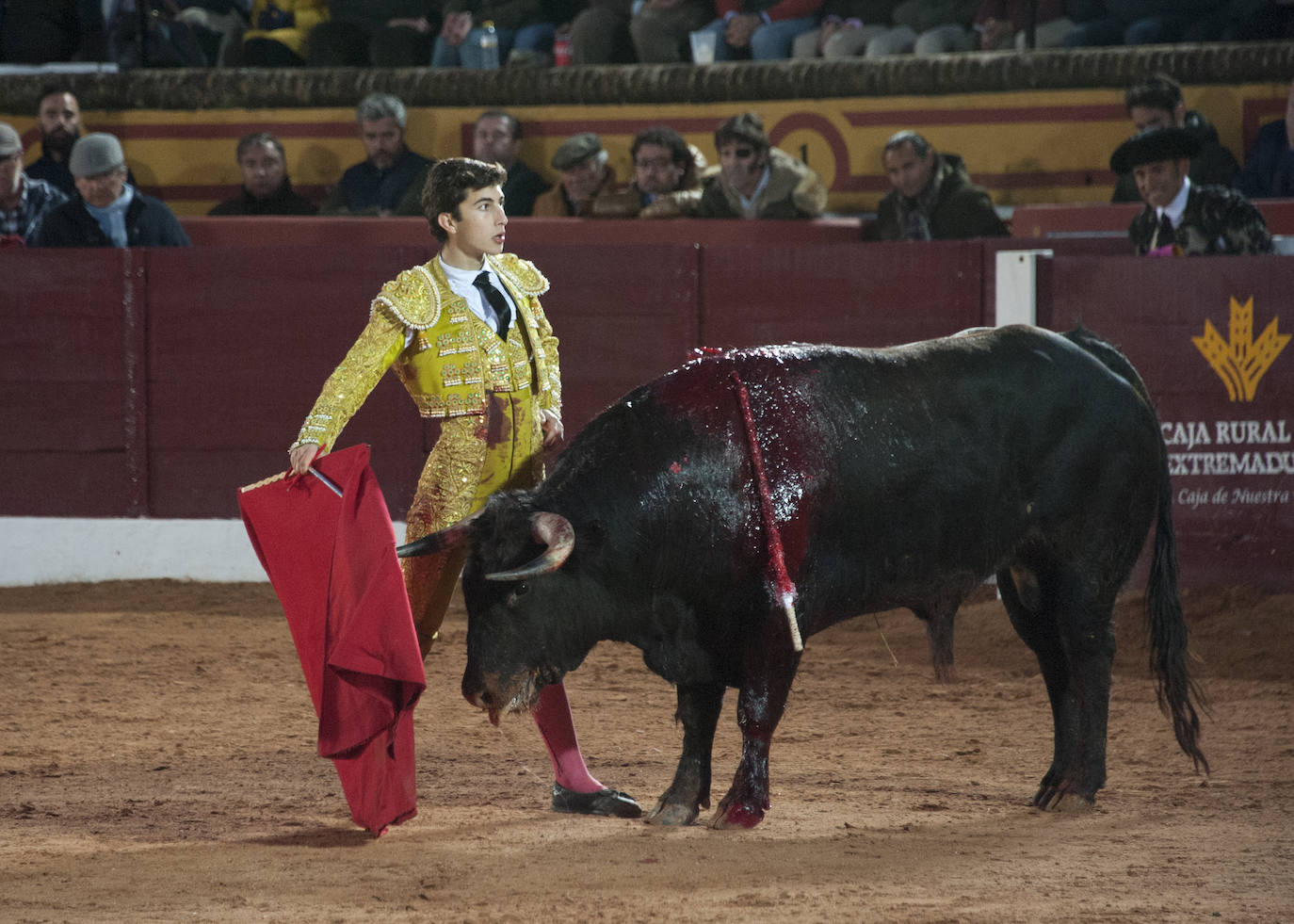 Fotos: Novillada, primera de abono de la Feria de Olivenza