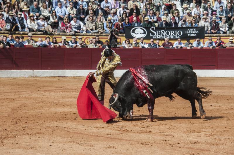 Alarde de torería y valor de Emilio de Justo y Ginés Marín para abrir la puerta grande. 