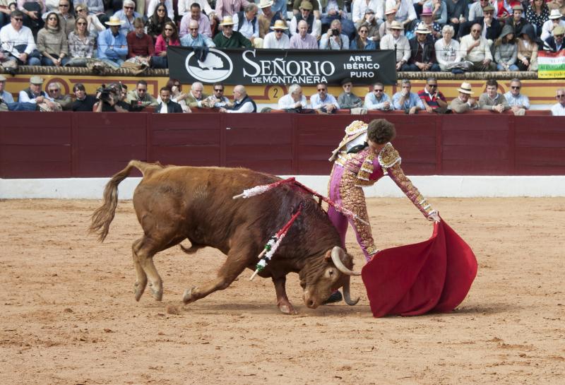 Alarde de torería y valor de Emilio de Justo y Ginés Marín para abrir la puerta grande. 