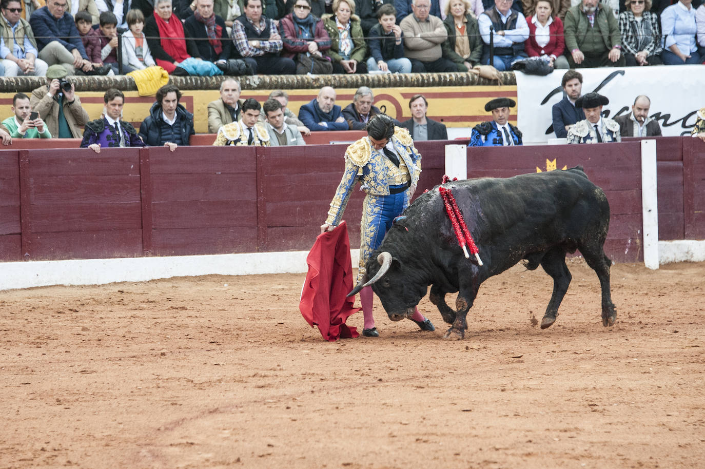 Fotos: Morante, Manzanares y Aguado, en el cuarto festejo de la feria de Olivenza