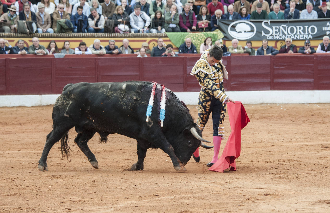 Fotos: Morante, Manzanares y Aguado, en el cuarto festejo de la feria de Olivenza