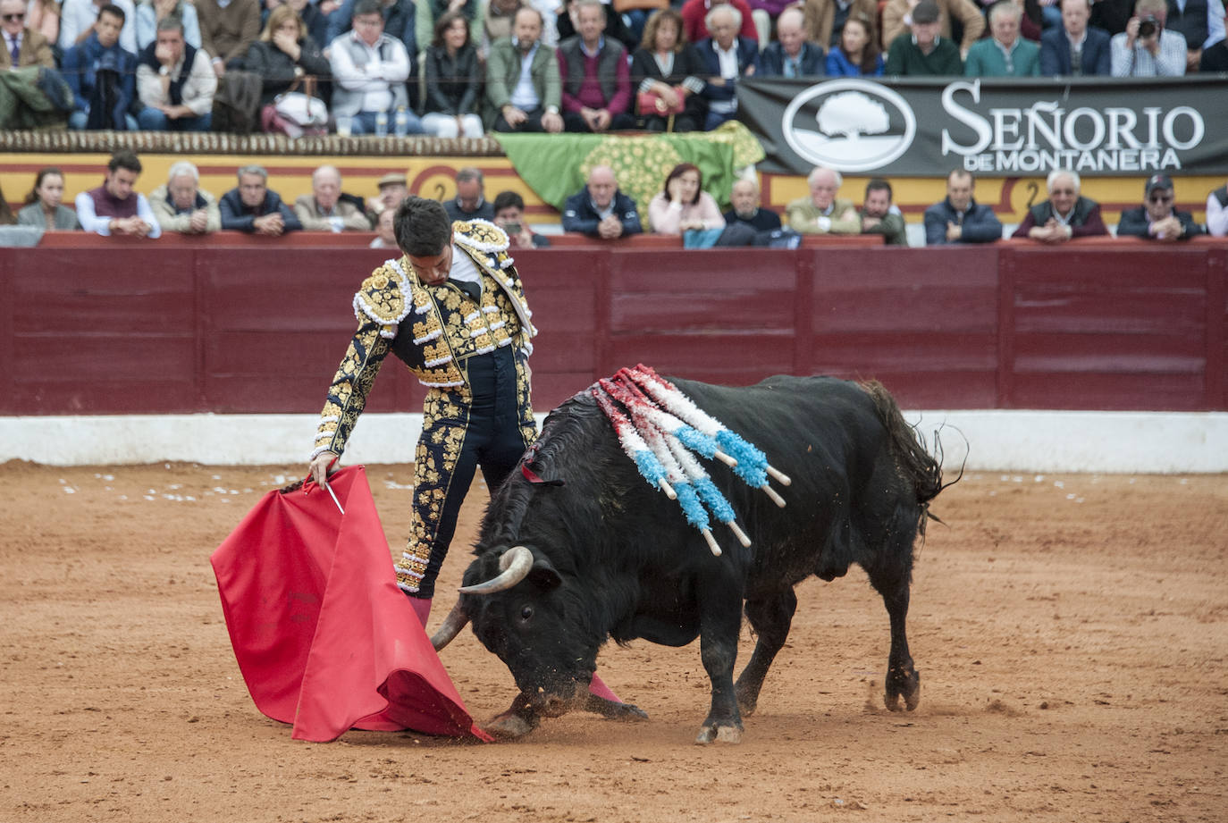 Fotos: Morante, Manzanares y Aguado, en el cuarto festejo de la feria de Olivenza