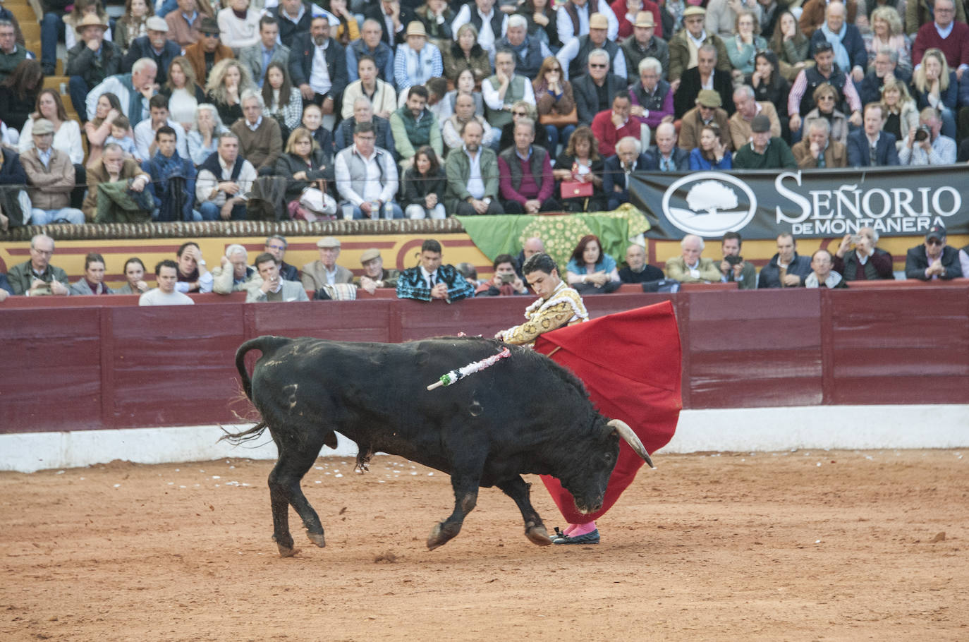 Fotos: Morante, Manzanares y Aguado, en el cuarto festejo de la feria de Olivenza