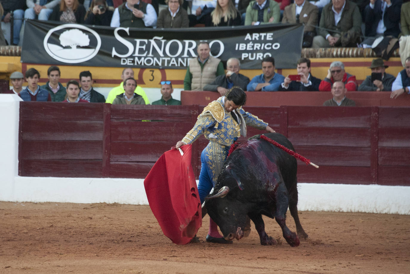 Fotos: Morante, Manzanares y Aguado, en el cuarto festejo de la feria de Olivenza