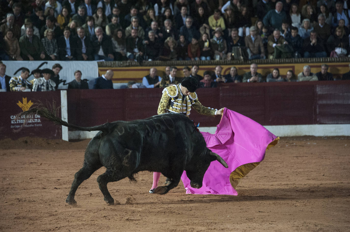 Fotos: Morante, Manzanares y Aguado, en el cuarto festejo de la feria de Olivenza