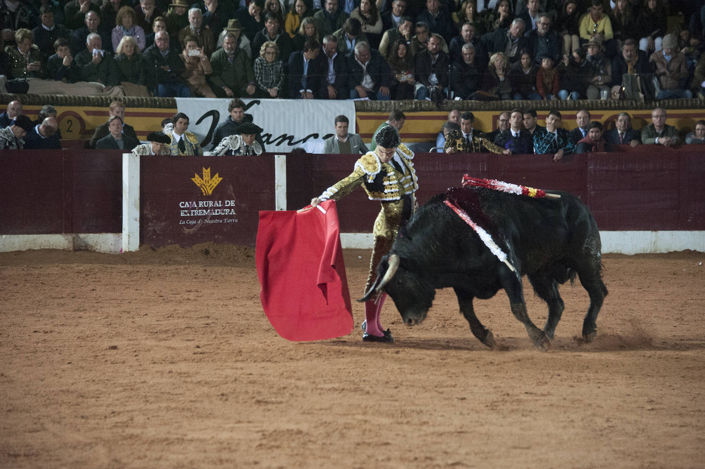 Fotos: Morante, Manzanares y Aguado, en el cuarto festejo de la feria de Olivenza