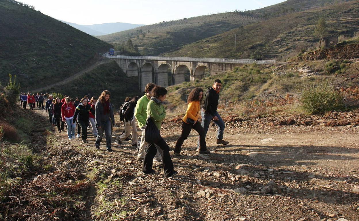 Imagen de archivo de una jornada del programa Plantabosques. 