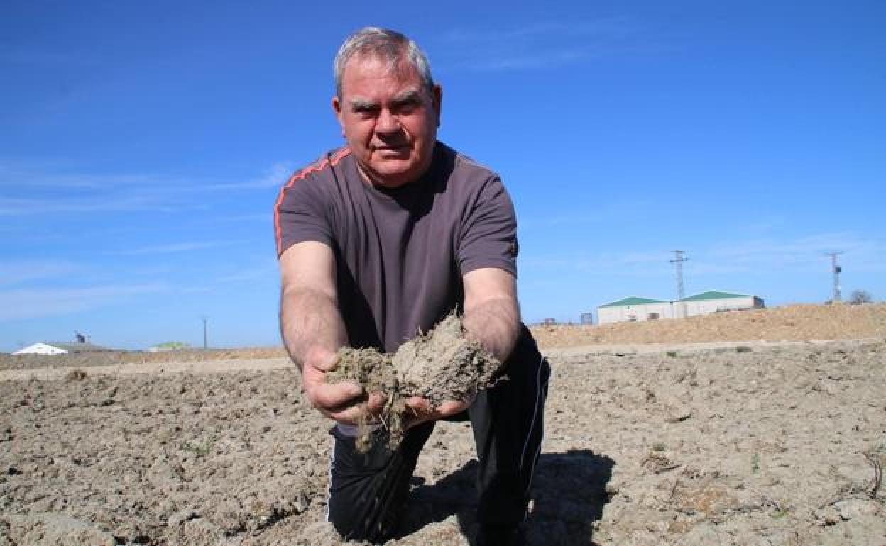 Miguel Leal, presidente de la comunidad de regantes de Orellana, en una finca de Palazuelo.