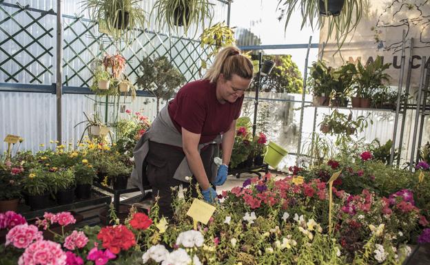 Preparandomacetas con flores en el vivero.Las orquídeasson de las másdemandadas.