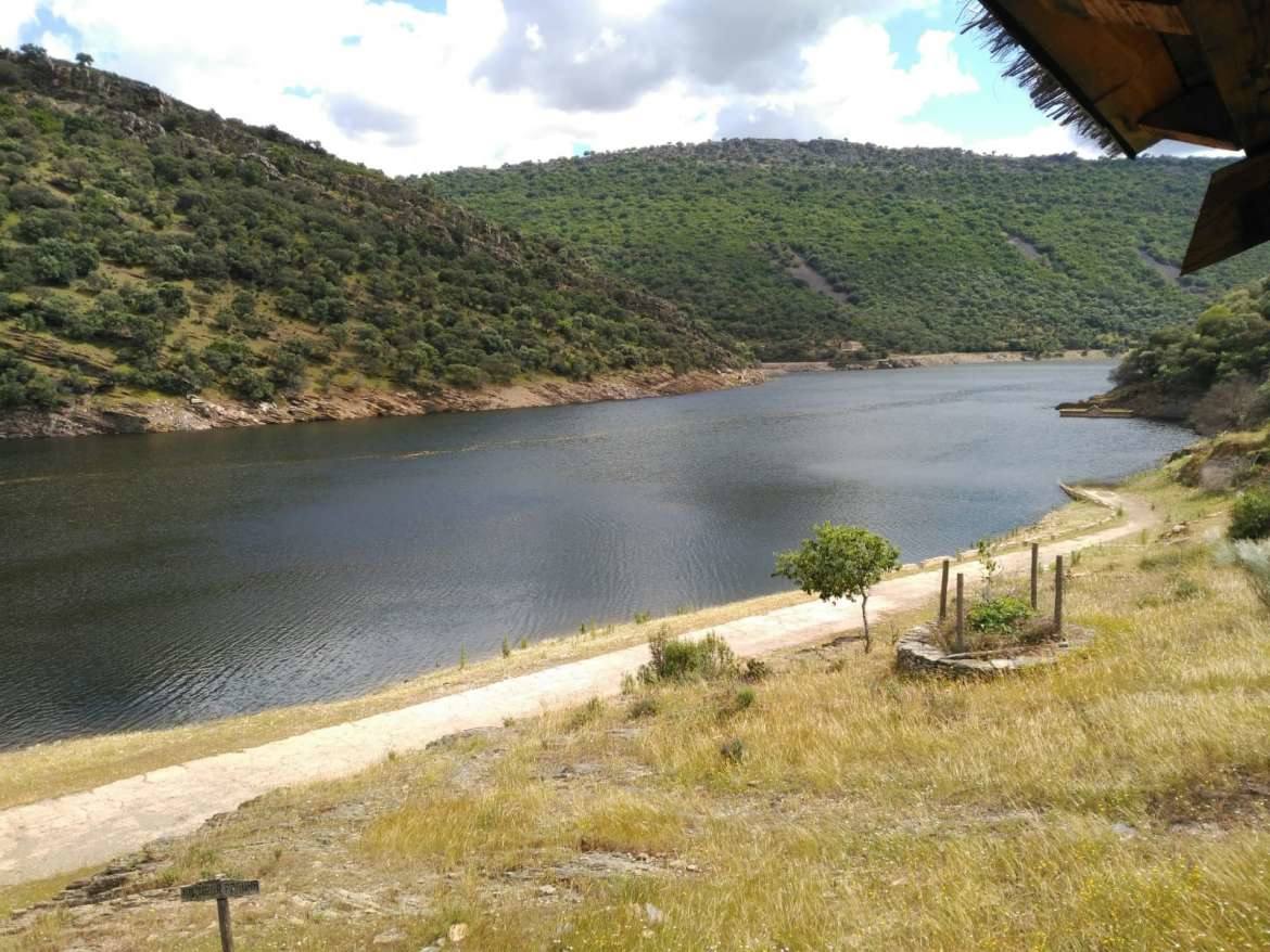 La azolla desaparece de las aguas del Tajo a su paso por Monfragüe. 