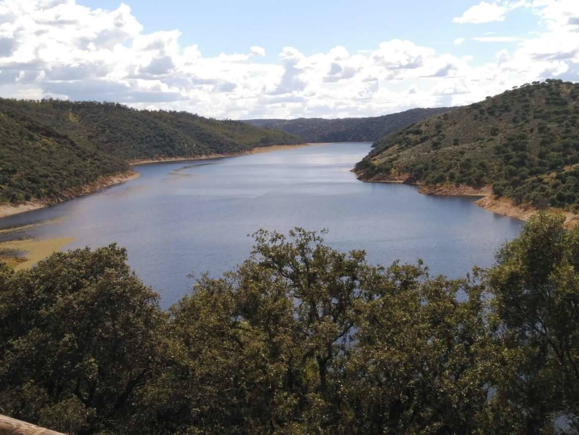 La azolla desaparece de las aguas del Tajo a su paso por Monfragüe. 