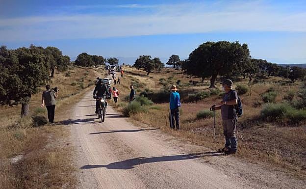Grupos de voluntarios.