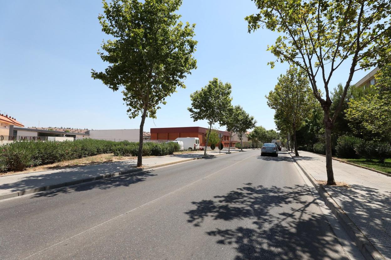 Ronda de los Eméritos, una de las zonas donde se hará un apartadero con zona de espera para el bus.