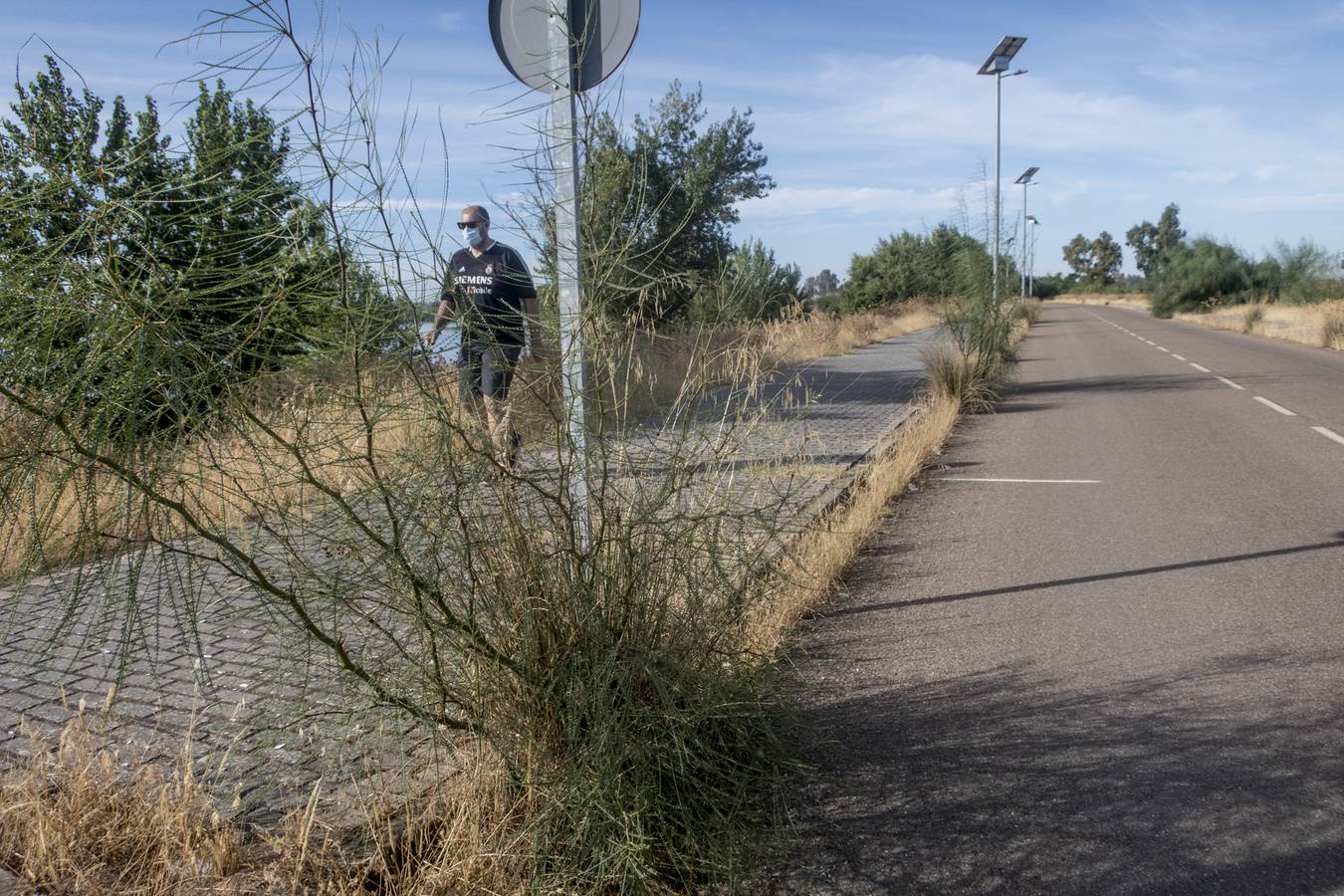 La maleza no permite a los peatones caminar por las aceras