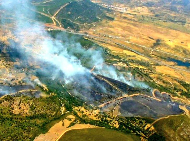Fotos: Imágenes del incendio forestal registrado en Cañaveral