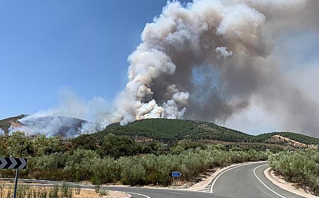 Fuego en el término municipal de Cañaveral. 