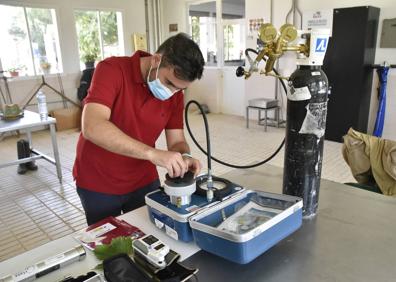 Imagen secundaria 1 - Soluciones ecológicas para las enfermedades de madera de la vid